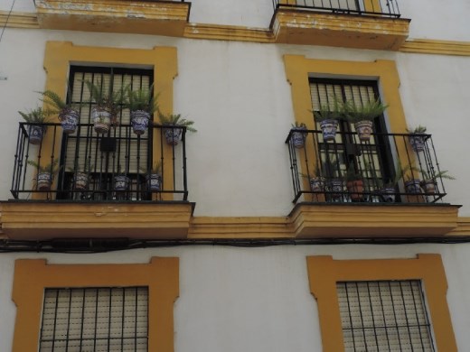 Gorgeous ceramic tiles and pots were everywhere in the Triana district!