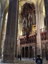 Given the scale of the Cathedral, this organ would probably not fit in ordinary cathedrals!: by taylortreks, Views[180]