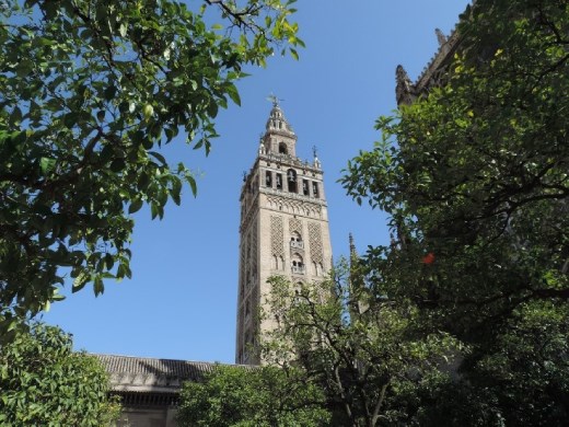 Outside, in the Patio of the Oranges (trees), you get an excellent view of the Giralda Tower. We're going to climb that later.