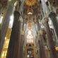 Interior columns are trees spreading to the heavens.: by taylortreks, Views[128]
