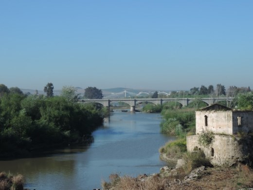 From the Puente Romano you can see more bridges, both old and new.