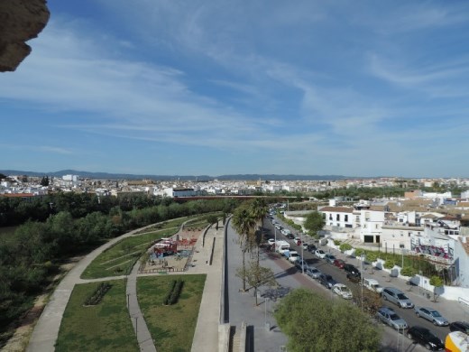 Córdoba sprawls out from the historic district.