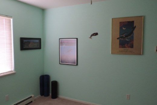 More marine art in the Exercise Room (it's so nice and soothing to look at while you're stretching out). From left to right, we have a panoramic print of Waimea Canyon on the island of Kauai, Hawaii; a print of Maui, Hawaii, showing what the landscape might have looked like 