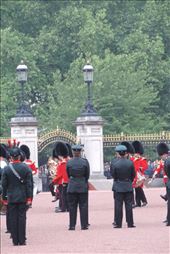 Guards prepare for the changing at Buckingham Palace: by taylortreks, Views[294]