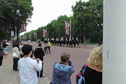 Here are new Horse Guards arriving