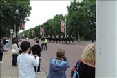 Here are new Horse Guards arriving: by taylortreks, Views[283]