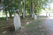 A few standing stones guard the NE Cairn: by taylortreks, Views[247]