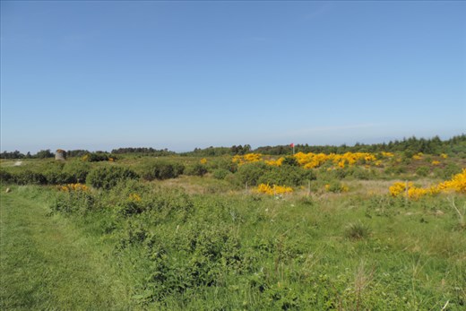 Here's the perspective of the Battlefield from the British Government line