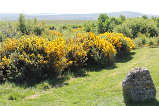 And another marker for members of the MacGillivray Clan