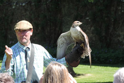 Here's Andy with the star of the show