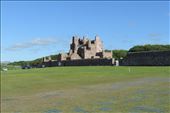 The glorious afternoon sunshine showed off the Castl of Mey to full advantage: by taylortreks, Views[316]