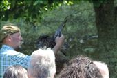 Andy the Falconer began the show with Cedar the Owl: by taylortreks, Views[329]