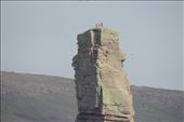HEY! There are folks who climbed to the top of the Old Man of Hoy!: by taylortreks, Views[213]