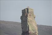 HEY! There are folks who climbed to the top of the Old Man of Hoy!: by taylortreks, Views[113]