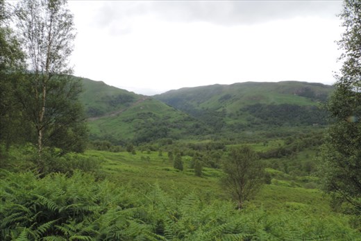 Lush green hills surrounded us at the beginning of our walk