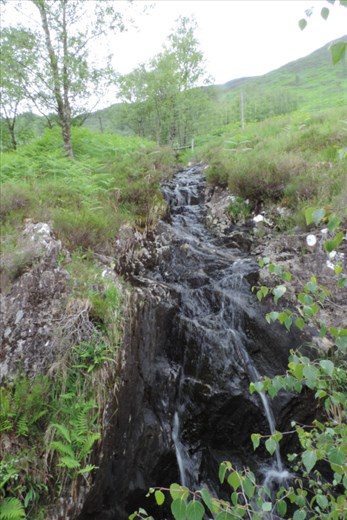 One of several noisy brooks that tumbled down the hillside