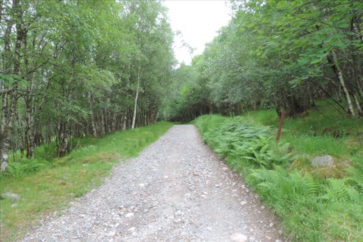 After the reservoir, we had a STEEP climb to the top of the next ridge
