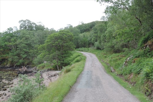 We took the less travelled (and NARROW!) road