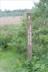 Here's the trailhead for the Onich Falls hike: by taylortreks, Views[197]