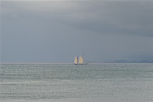 On our return trip, we saw a sailing ship navigating the Sound of Iona