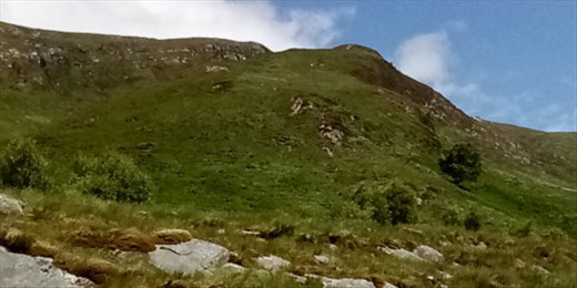 Hillside grass shimmers in the breeze under a brilliant blue sky