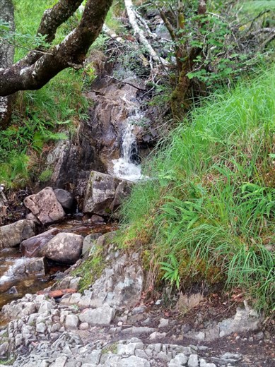 The last stream on todays hike