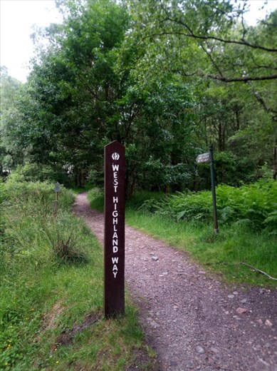 Our wonderful woodland walk comes to an end