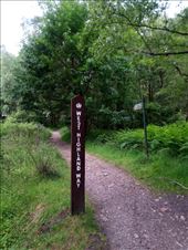 Our wonderful woodland walk comes to an end: by taylortreks, Views[285]