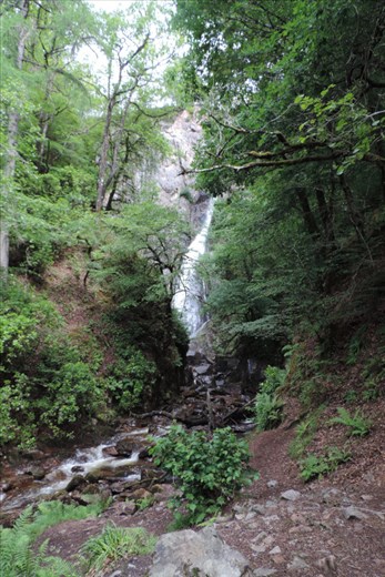 Gray Mares Tail waterfall was less than 20 minutes from the trailhead