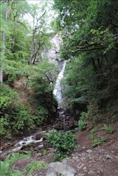 Gray Mares Tail waterfall was less than 20 minutes from the trailhead: by taylortreks, Views[211]