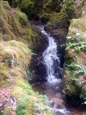 Bonus -- minature fall in a nearby stream: by taylortreks, Views[179]