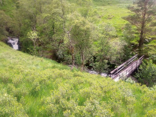However there was a nice bridge across the stream in an exposed meadow