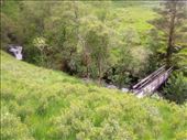 However there was a nice bridge across the stream in an exposed meadow: by taylortreks, Views[218]