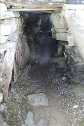 Which-Has-an-Extensive-Chamber: by taylortreks, Views[174]