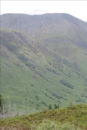 Unbelievably-Steep-Trail-Up-Back-Side-of-Ben-Nevis: by taylortreks, Views[245]