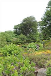 Sizable-Gardens-Surround-the-Castle: by taylortreks, Views[157]