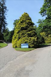 Armadale-Castle-Had-Very-Nice-Gardens: by taylortreks, Views[199]