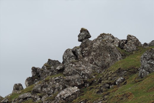 Whats-This-Jefferson-Keeping-Watch-Over-the-Old-Man