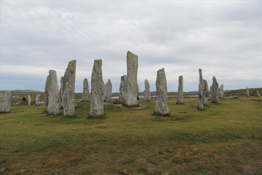 Which-Were-Much-More-Plentiful-Than-Their-Counterparts-on-Orkney