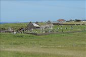 Next-Door-Stands-Ancient-Ruins-of-a-Church-Associated-with-St-Columba-of-Iona: by taylortreks, Views[285]