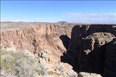 We opened our visit with a stop at the Little Colorado River Gorge.: by taylortreks, Views[175]