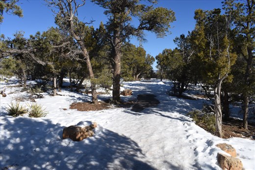 We saw plenty of snow but no Canyon ... yet.