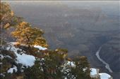 The diffuse dusk light emphasized contrast from the rim to the inner gorge of the Canyon.: by taylortreks, Views[205]