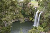 The tropical forest reaches right up to the lovely Falls, which are located just outside the town of Whangarei.: by taylortreks, Views[244]