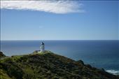 Cape Reinga, the northernmost point in NZ, is one of our favourite Northland locations.: by taylortreks, Views[241]
