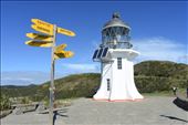 A distinctive signpost accompanies the well-known lighthouse at the Cape.: by taylortreks, Views[235]