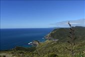 This is the view looking down the east side of the Cape from the lighthouse.: by taylortreks, Views[247]