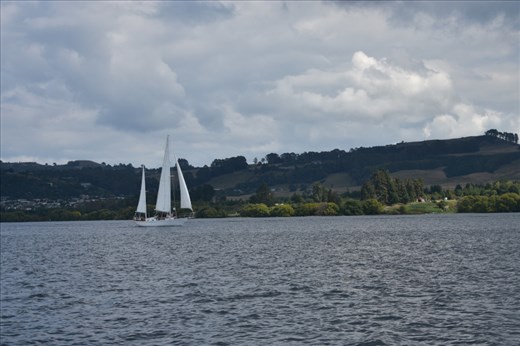 Sail Barbary craft shares Lake Taupo with Sail Fearless.