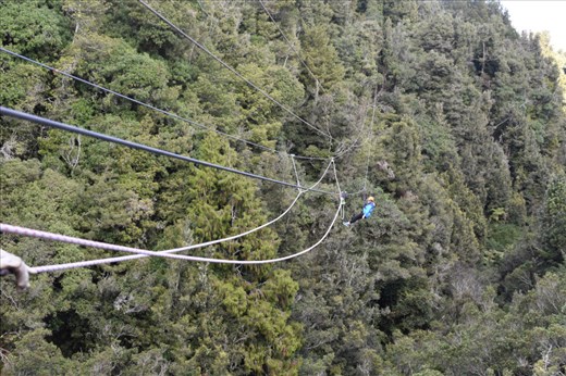 Here comes Anna careening down the zipline.