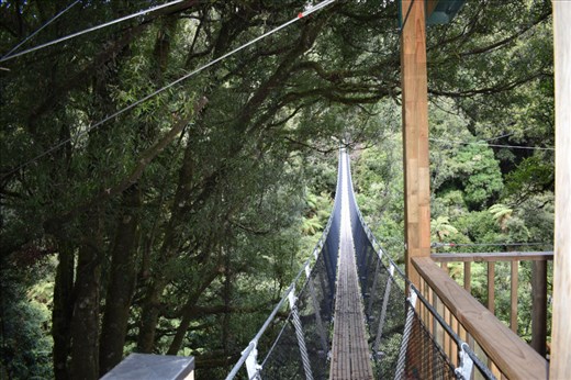 This looooong swing bridge connected two of the longer ziplines.